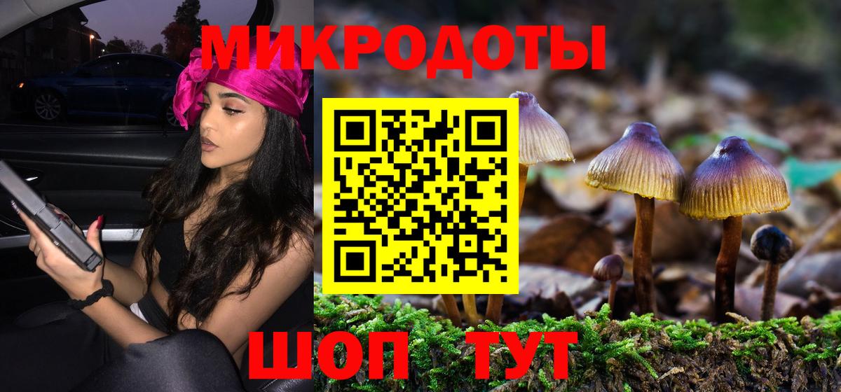 Галлюциногенные грибы Psilocybe  закладка  Магадан  Вход с VPN 